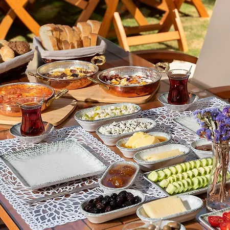 Otel Eflin Haus Historical Place & Monument 3*