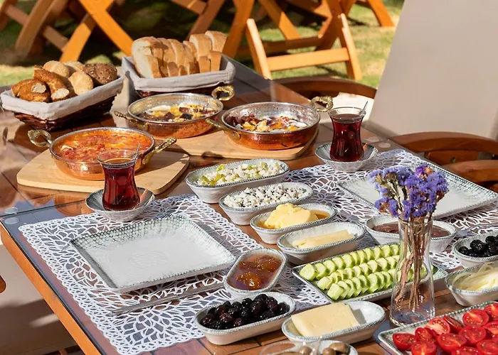 Ξενοδοχείο Eflin Haus Historical Place & Monument 3*