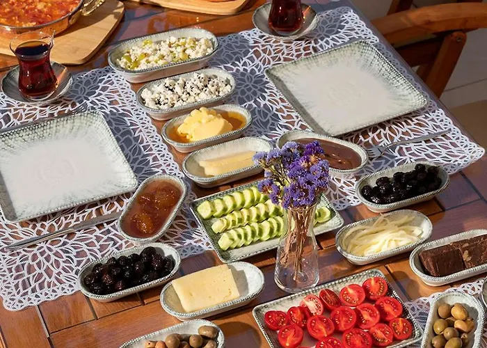 Hotel Eflin Haus Historical Place & Monument